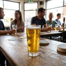 Nucleated Beer Glasses – 280ml – Toughened Glass, Pack of 12 – Commercial & Home Use