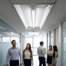 Replacement LED Lamp – Universal Fit – High-Performance – Industrial & Commercial Use