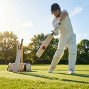 Handcrafted Kashmir Willow Cricket Bat for Beginners - product detail