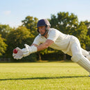 Wicket Keeper Gloves in Youth and Adult sizes with PU leather and rubber materials for cricket use - product detail