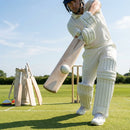 English Willow Cricket Bat with premium handcrafted wood - product detail