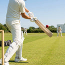 Handcrafted Kashmir Willow Cricket Bat for Beginners