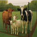 50mm x 50mm Wire Mesh – Strong, Durable, Galvanized Steel – 16 Gauge