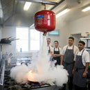 Automatic Dry Powder Fire Extinguishers – ABC Class – Multipurpose Use