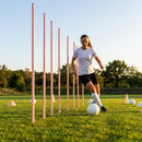 Slalom training poles in vibrant colours for agility training