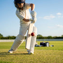 English Willow Cricket Bat with premium handcrafted wood