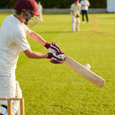 Coloured cricket batting gloves with English Pittard leather palm