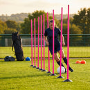 Slalom training poles in vibrant colours for sports practice