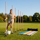 Slalom training poles in vibrant colours for agility training