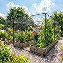 Walk-In Fruit and Vegetable Cage with Steel Frame for Garden Use