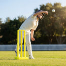 Plastic Cricket Stumps in vibrant yellow with base and bails