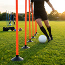 Slalom training poles in vibrant colours for agility training