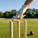 Wooden cricket bails for club and pro use, made from hardwood and ash wood