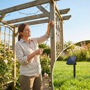 Solar fairy lights illuminating a garden with warm white glow