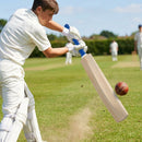 Handcrafted Kashmir Willow Cricket Bat for Beginners