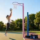 Netball Post Replacement Parts for Blue and Pink Freestanding Units