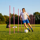 Slalom training poles in vibrant colours for agility training