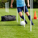 Slalom training poles in vibrant colours for agility training