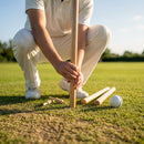 Wooden cricket stumps for competitive cricket with carry bag