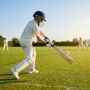 Handcrafted Kashmir Willow Cricket Bat for Beginners