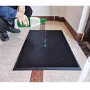 Shoe Disinfectant Mat
