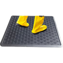 Shoe Disinfectant Mat